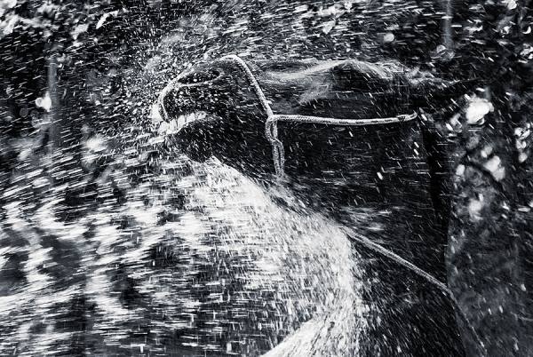 Photograph Mark Benham Hose Down on One Eyeland
