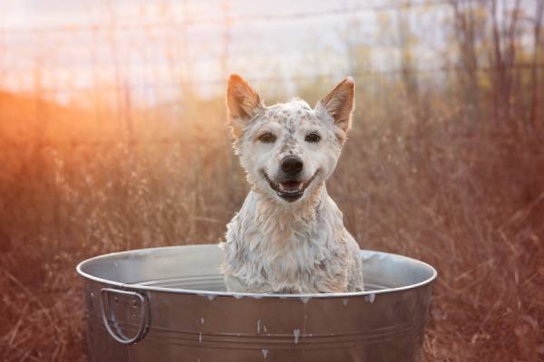 Photograph Alicia Rius Bath Time on One Eyeland