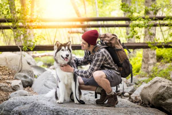 Photograph Alicia Rius Wolf Adventures on One Eyeland