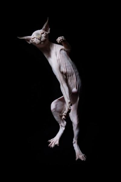 Photograph Alicia Rius Breake Dance on One Eyeland