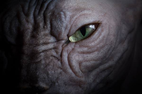 Photograph Alicia Rius Eye on One Eyeland