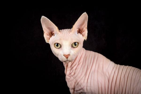 Photograph Alicia Rius Gaze on One Eyeland