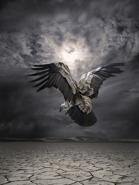 Photograph Glen Wexler Aftermath 2 on One Eyeland