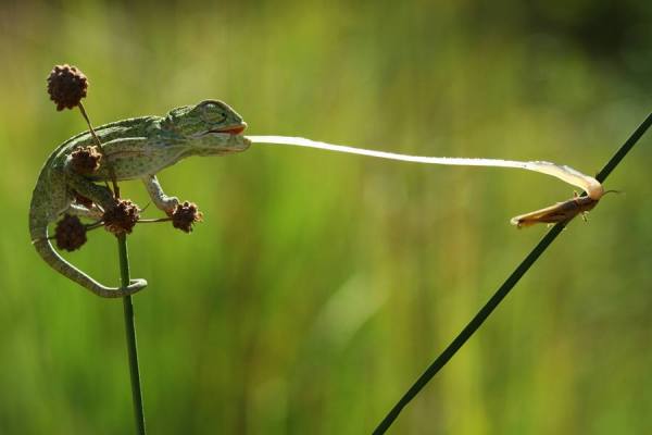 Photograph Mehmet Karaca Agir Avci on One Eyeland