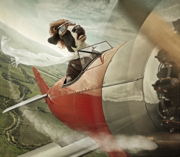 Photograph Andy Mahr Amealia Airhoof on One Eyeland