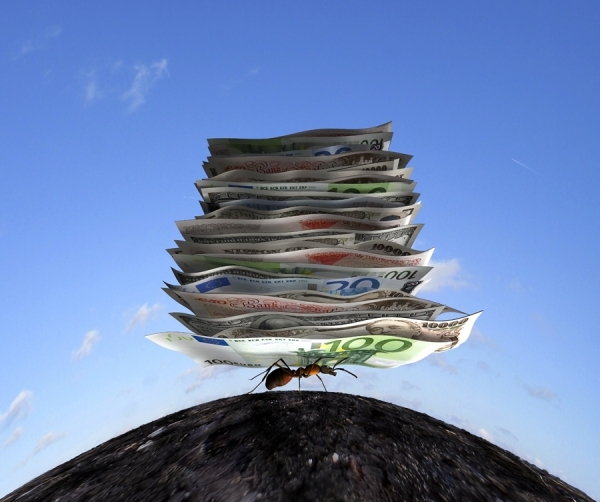 Photograph Colin Thomas Ant And Money on One Eyeland