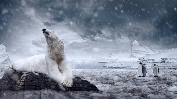 Photograph Dusan Holovej Arctic Tales on One Eyeland
