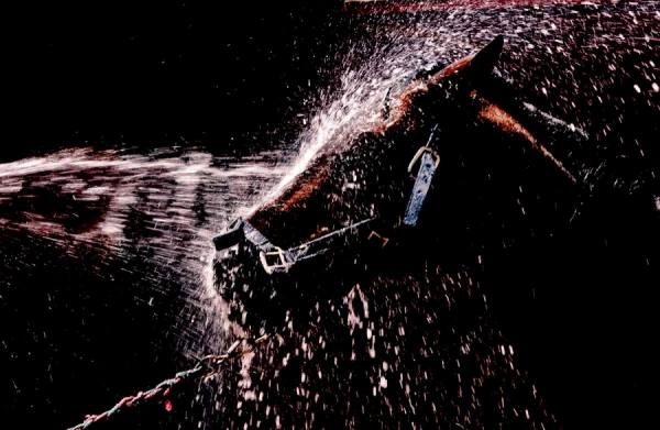 Photograph Ali Isik Bath Time on One Eyeland