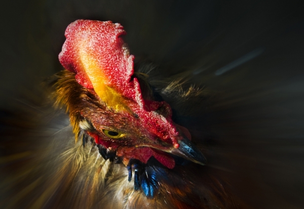 Photograph Andrzej Bochenski Boogie Nights on One Eyeland