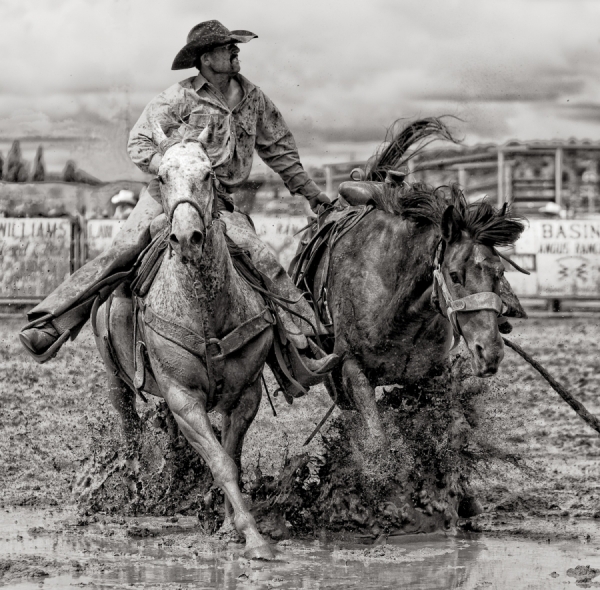 Photograph Bev Pettit Bronc Pickup 2010_2 on One Eyeland