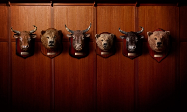 Photograph Derek Swalwell Bull And Bear Wall on One Eyeland