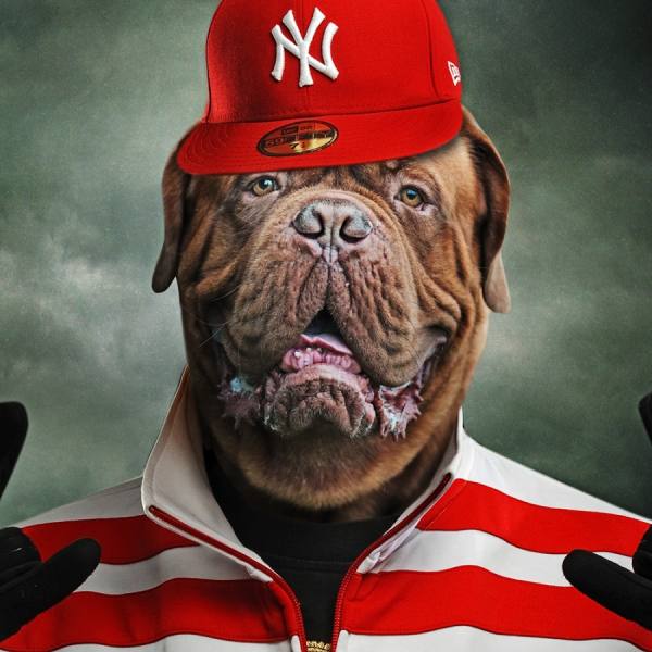 Photograph Anna Bodnar Cool Dogs Dog De Bordeaux on One Eyeland