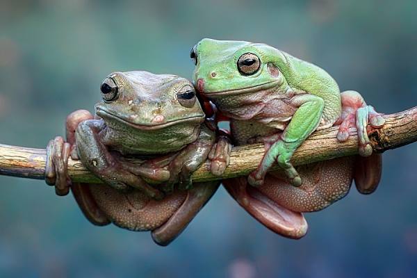 Photograph Iwan Susanto Couple on One Eyeland