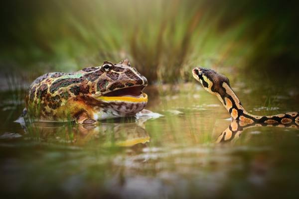 Photograph Shikhei Goh Courage on One Eyeland