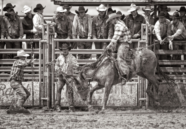 Photograph Bev Pettit Cowpunchers on One Eyeland