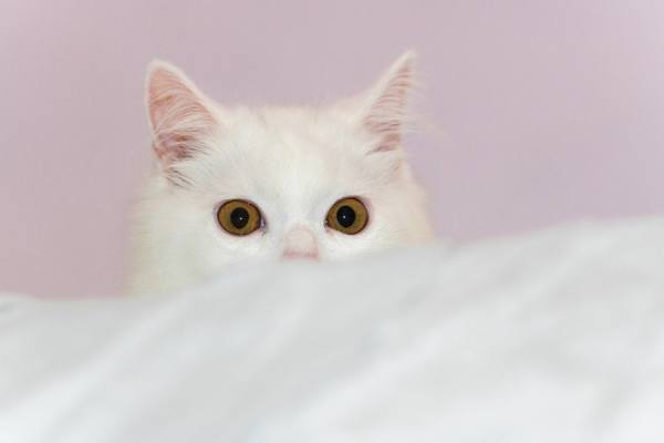 Photograph Lessy Sebastian Cute And Softly on One Eyeland