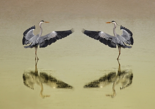 Photograph Kent Mathiesen Dance on One Eyeland