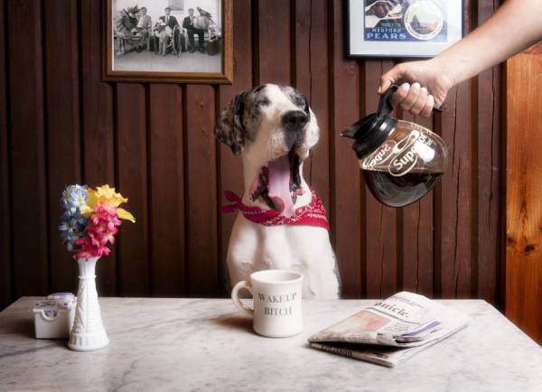 Photograph William Huber Dane Yawn on One Eyeland