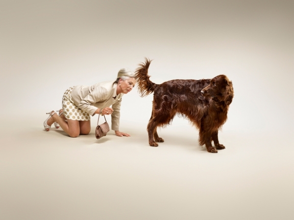 Photograph Arthur Mebius Dat A Dog on One Eyeland