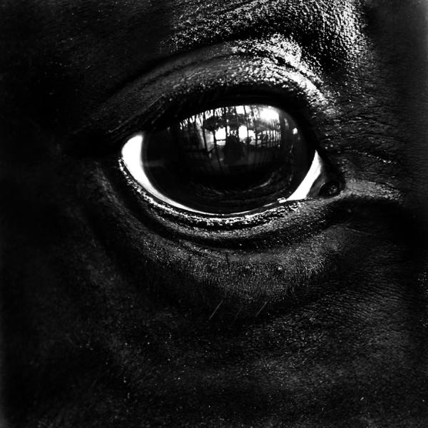 Photograph Bahar Akkoyun Deep Inside on One Eyeland