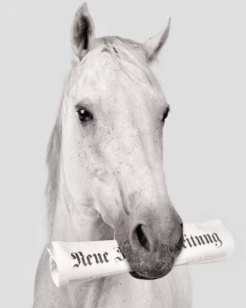 Photograph Winkler Noah Educated Horse on One Eyeland