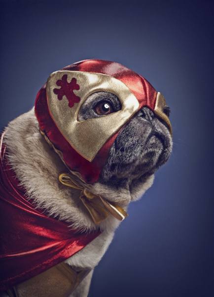 Photograph Ashlea Wessel El Puchador on One Eyeland