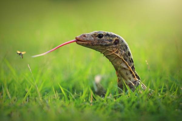 Photograph Shikhei Goh Escape on One Eyeland