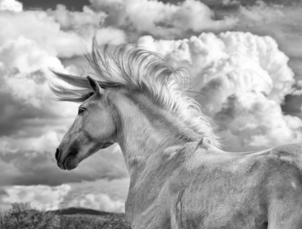 Photograph Bev Pettit Espy on One Eyeland