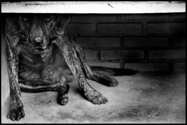 Photograph Andre Peniche Fear on One Eyeland