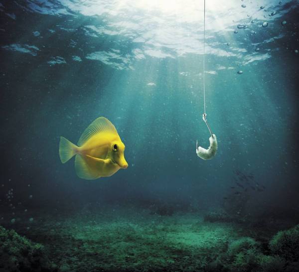 Photograph Diego Freire Fish Trap on One Eyeland