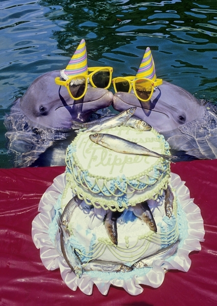 Photograph Red Morgan Flippers Anniversary on One Eyeland