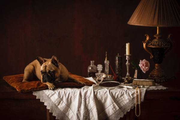 Photograph Tim Platt Biggie In The Boudoir. on One Eyeland