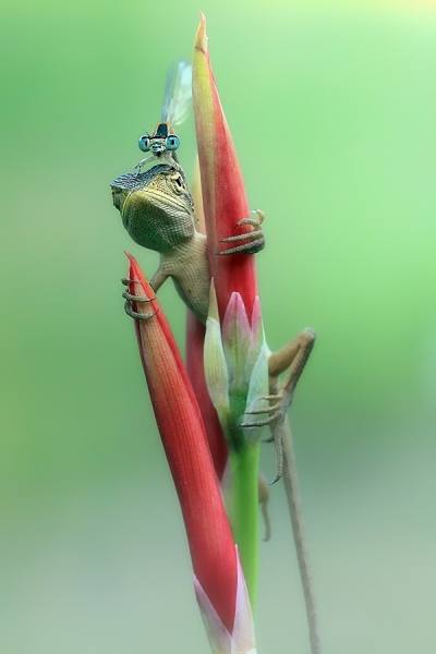 Photograph Iwan Susanto Friendship on One Eyeland