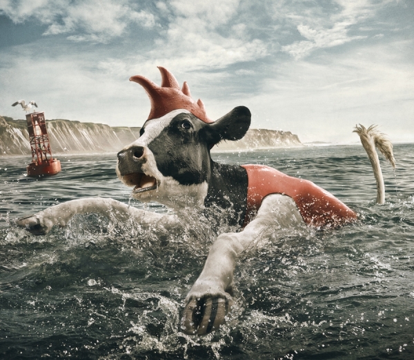 Photograph Andy Mahr Gertrude Udderly on One Eyeland