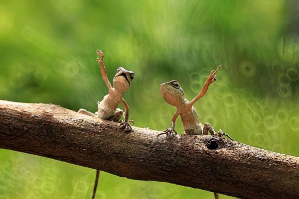 Photograph Iwan Susanto Hands Up on One Eyeland