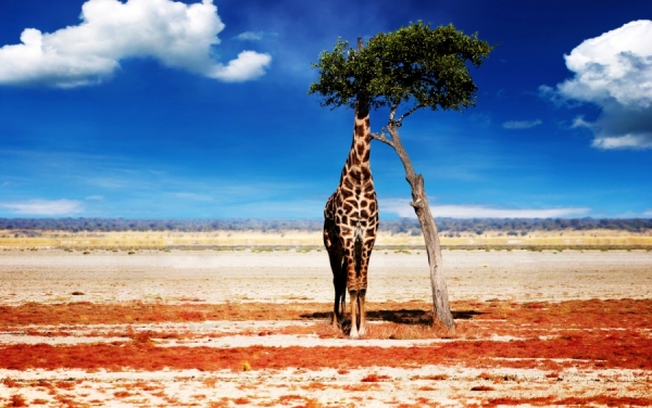 Photograph Ondrej Hruby Hide And Seek on One Eyeland
