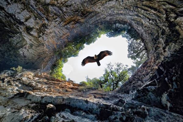 Photograph Andrzej Bochenski His Kingdom on One Eyeland