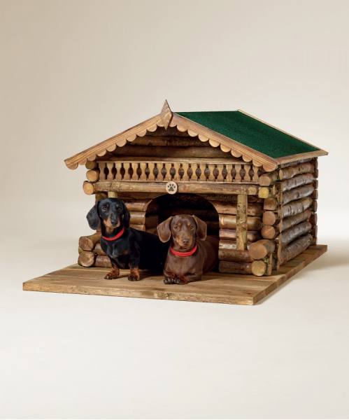 Photograph Tal Silverman Home Buyers Best Friend Dachshunds on One Eyeland
