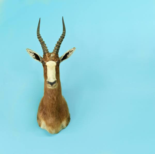 Photograph Jens Lucking Horny on One Eyeland
