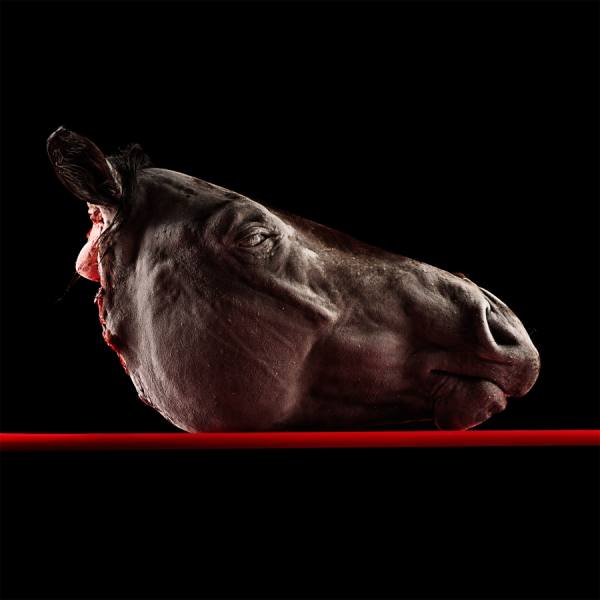 Photograph Antonio Strafella Horse 1 on One Eyeland