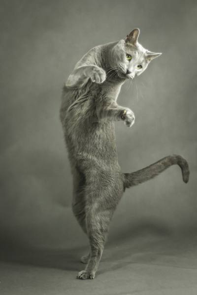 Photograph Ewelina Lesik Igor on One Eyeland