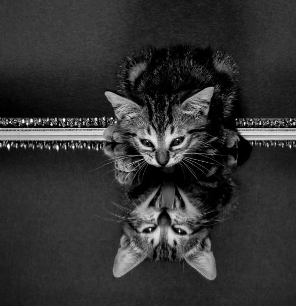 Photograph Bea Moedt In The Mirror on One Eyeland
