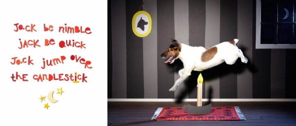 Photograph Shaina Fishman Jack Be Nimble on One Eyeland