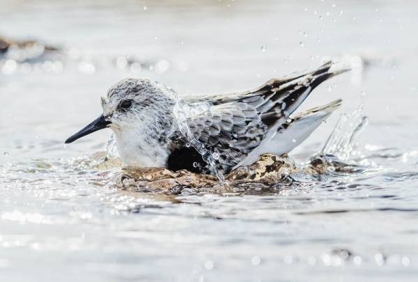 Photograph Ben Welsh Keep It Clean on One Eyeland