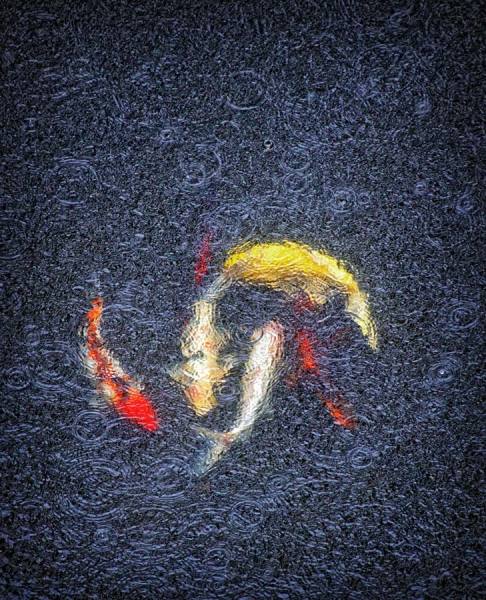 Photograph Joe Felzman Koi on One Eyeland
