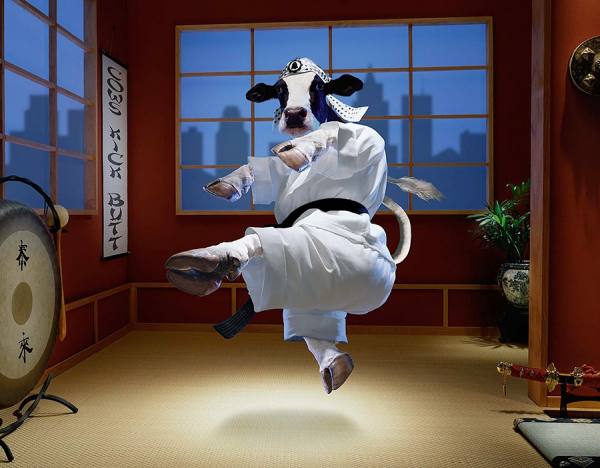 Photograph Glen Wexler Kowrate on One Eyeland