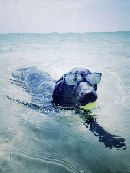 Photograph Ben Welsh Life Is A Beach on One Eyeland