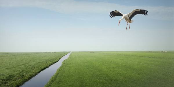 Photograph Linda Jansen Moneyview on One Eyeland