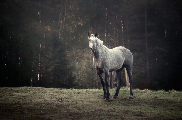 Photograph Mikko Lagerstedt Morning on One Eyeland
