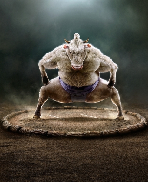 Photograph Alessandro Bavari Protein Performer Purina on One Eyeland